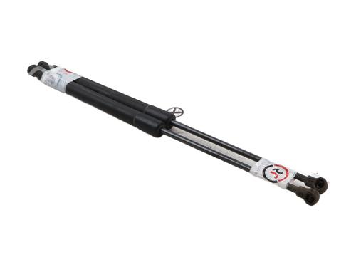 Tailgate lift support CITROËN C3 II (SC_) 1.6 HDi | BP29919018C138