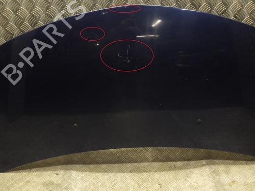 Capot Capot RENAULT CLIO III (BR0/1, CR0/1) 1.2 16V (BR02, BR0J, BR11, CR02, CR0J, CR11) (75 hp) 24248326 24248326
