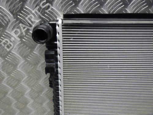 Used Water radiator Water radiator VW GOLF VIII (CD1, DA1) 2.0 TDI GTD (200 hp) 24248993 24248993