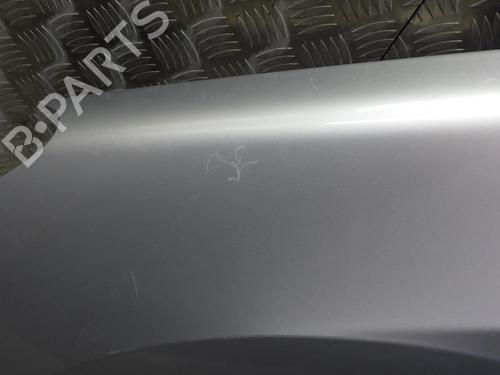 Left front fenders PEUGEOT 307 (3A/C) 1.6 HDi 110 | BP24248312C41 