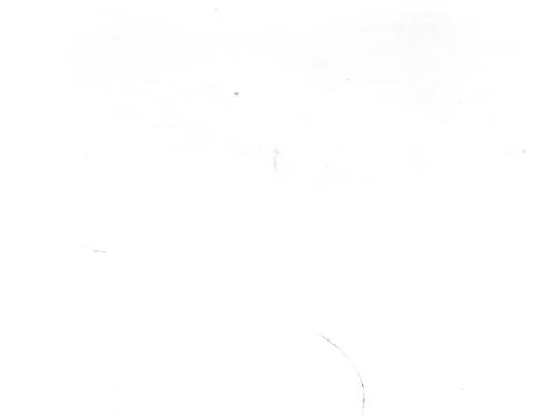 Fælk PORSCHE MACAN (95B) 3.6 Turbo | BP24244327C45  - Image 8