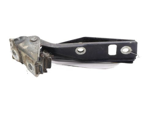 Hinge/Door check strap VW GOLF IV (1J1) 1.9 TDI | BP29287227C146 