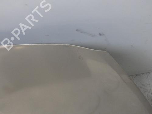 Hood RENAULT CLIO III (BR0/1, CR0/1) 1.4 16V | BP29454703C1 