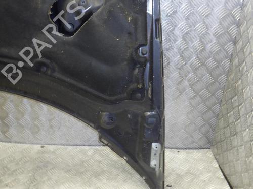 Hood LANCIA PHEDRA (179_) 2.2 JTD (179AXC1A) | BP24248474C1 