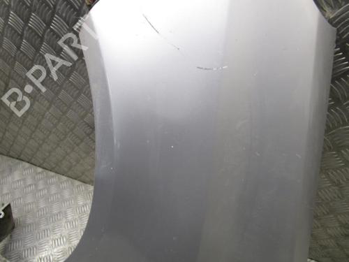 Left front fenders OPEL CORSA D (S07) 1.3 CDTI (L08, L68) | BP24251714C41 
