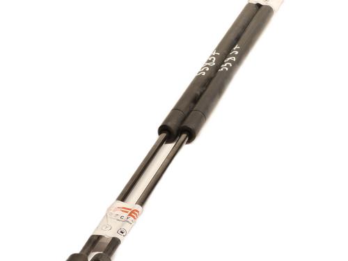 Tailgate lift support FORD FIESTA V (JH_, JD_) 1.4 TDCi | BP24244482C138 