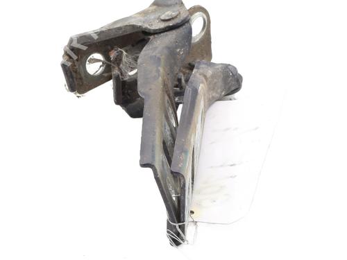 Hinge/Door check strap VW GOLF IV (1J1) 1.9 TDI | BP29287227C146 