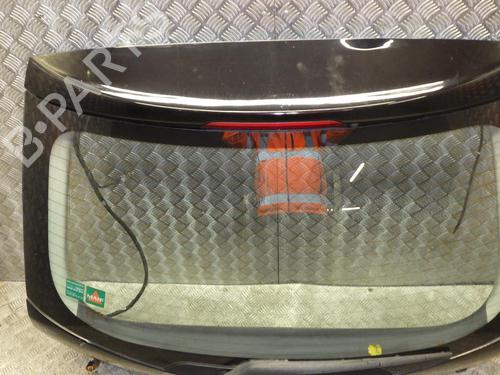 Tailgate RENAULT KOLEOS I (HY_) 2.0 dCi 4x4 (HY0B) | BP24248166C6 