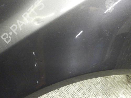 Left front fenders OPEL CORSA D (S07) 1.2 (L08, L68) | BP24247041C41 