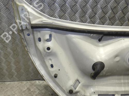 Hood CITROËN JUMPY II Van 2.0 HDi 125 | BP24250703C1 