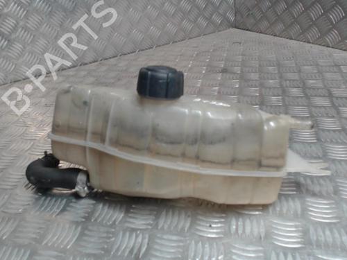 Expansion tank RENAULT CLIO III (BR0/1, CR0/1) 1.4 16V | BP24252753C120 