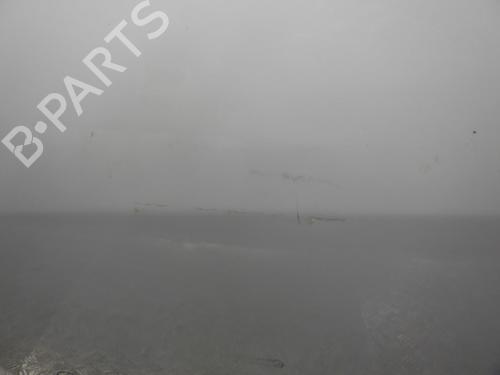 Left rear door RENAULT SCÉNIC III (JZ0/1_) 1.5 dCi | BP24244905C4 