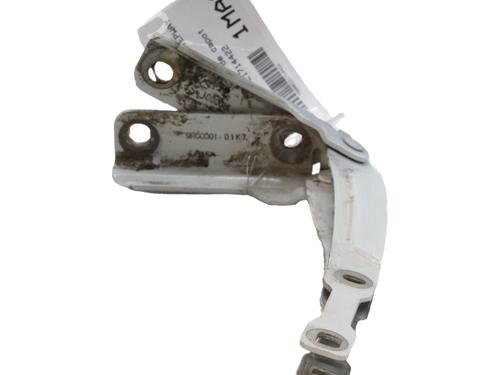 hingedoor-check-strap-dacia-sandero-ii-2012-36648023 main image