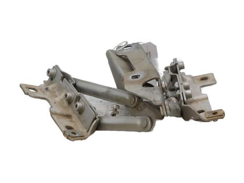 Hinge/Door check strap OPEL INSIGNIA A (G09) 2.0 CDTI (68) | BP31627279C146 