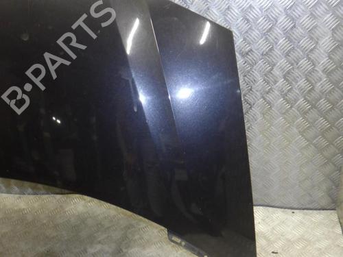 Hood LANCIA PHEDRA (179_) 2.2 JTD (179AXC1A) | BP24248474C1 