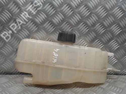 Expansion tank RENAULT CLIO III (BR0/1, CR0/1) 1.5 dCi (BR17, CR17) | BP24251709C120 