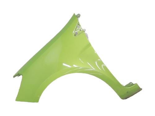 Used Left front fenders RENAULT CLIO III (BR0/1, CR0/1) 1.5 dCi (BR17, CR17) (86 hp) 31182087