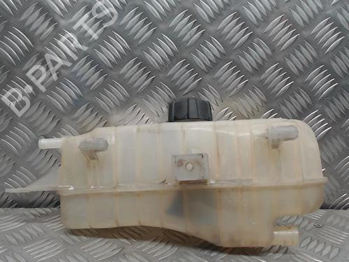 Used Expansion tank RENAULT CLIO III (BR0/1, CR0/1) 1.5 dCi (BR17, CR17) (86 hp) 24251709