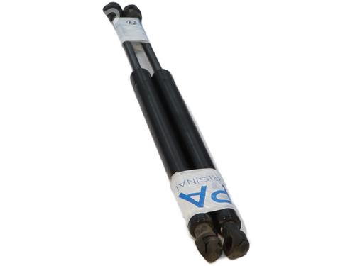 Tailgate lift support BMW 3 (E90) 320 d | BP31974839C138 