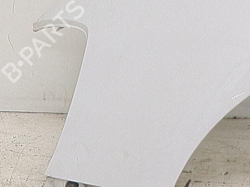 Left front fenders RENAULT CLIO III (BR0/1, CR0/1) 1.5 dCi (C/BR0G, C/BR1G) | BP30854369C41 