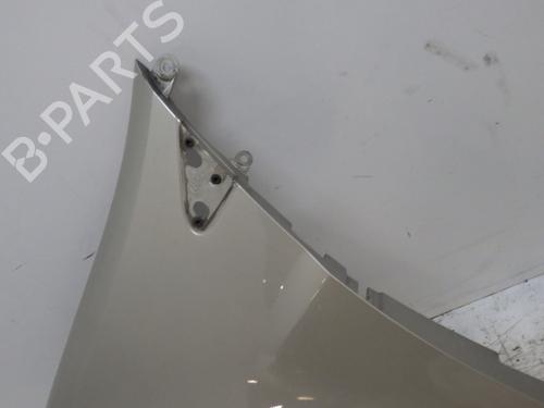Left front fenders RENAULT CLIO III (BR0/1, CR0/1) 1.4 16V | BP29454702C41 