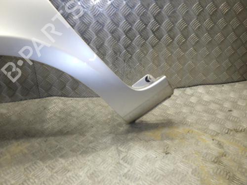 Left front fenders RENAULT CLIO III (BR0/1, CR0/1) 1.2 16V (BR0P, CR0P) | BP24246539C41 