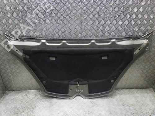 Hood CITROËN C4 Grand Picasso I (UA_) 2.0 HDi 138 | BP24245748C1 