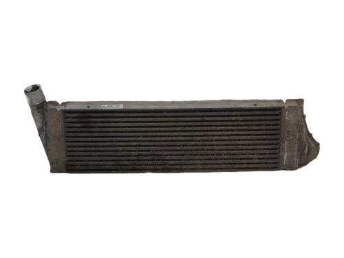 Used Intercooler Intercooler RENAULT MEGANE II (BM0/1_, CM0/1_) [2001-2012] 40032967 40032967