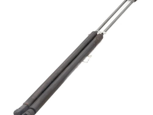 Tailgate lift support CITROËN C4 Picasso I MPV (UD_) 1.6 HDi | BP29039694C138 