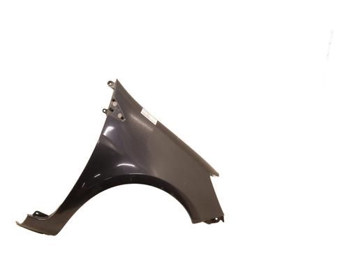 Right front fenders RENAULT CLIO III (BR0/1, CR0/1) 1.5 dCi (BR17, CR17) | BP24248033C42 