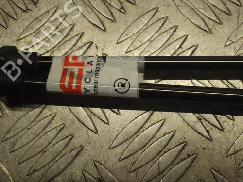 Tailgate lift support PEUGEOT 308 I (4A_, 4C_) 1.6 HDi | BP24250465C138 