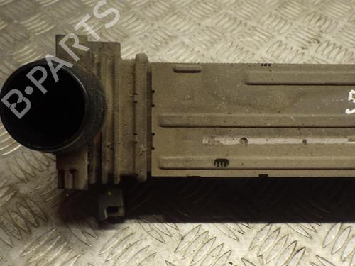 Used Intercooler Intercooler RENAULT MEGANE III Hatchback (BZ0/1_, B3_) 1.5 dCi (86 hp) 24244715 24244715