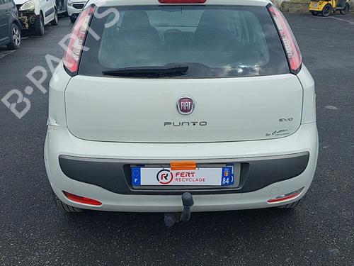 - Image 7