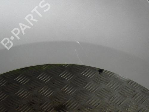 Left front fenders RENAULT SCÉNIC III (JZ0/1_) 1.5 dCi | BP25288082C41 