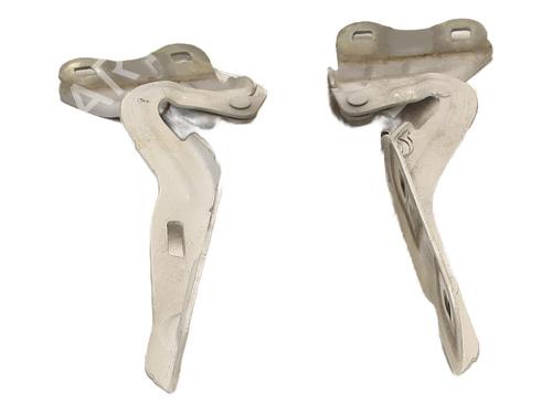 hingedoor-check-strap-renault-twingo-ii-cn0_-2007-28357422 main image