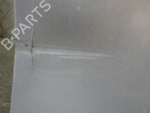 Right front door SKODA FABIA II (542) 1.6 TDI | BP24260995C3 