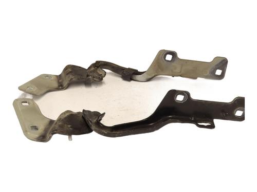 Hinge/Door check strap RENAULT CLIO III (BR0/1, CR0/1) 1.5 dCi (C/BR0G, C/BR1G) | BP28496961C146