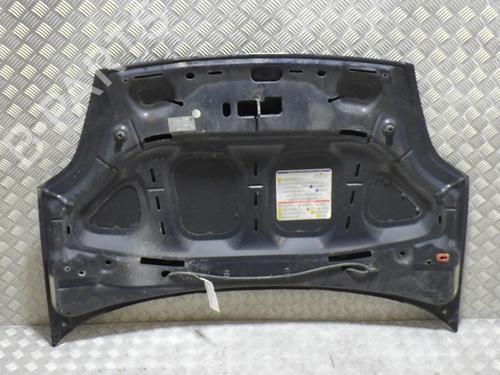 Hood FIAT GRANDE PUNTO (199_) 1.2 | BP29315890C1 