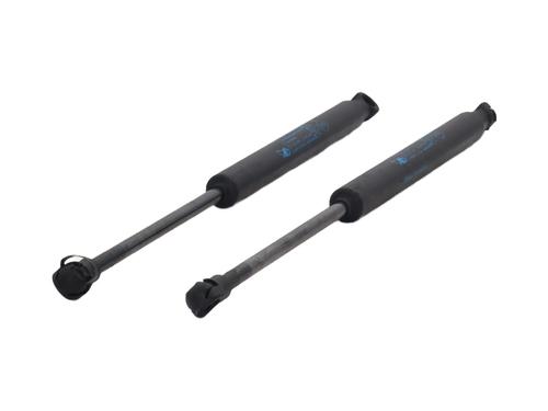 tailgate-lift-support-renault-twingo-ii-cn0_-2007-31625559 main image