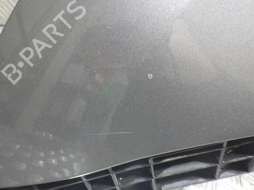 Left front fenders RENAULT SCÉNIC III (JZ0/1_) 1.5 dCi | BP24254597C41 