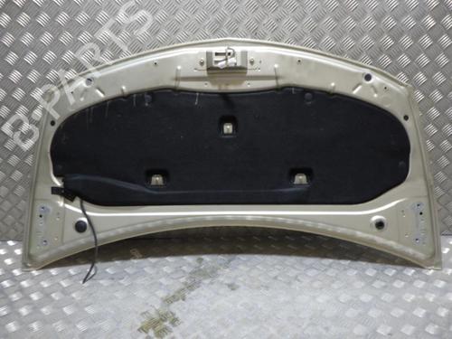 Hood RENAULT CLIO III (BR0/1, CR0/1) 1.5 dCi (BR0H, CR0H, CR1S, BR1S) | BP24255274C1