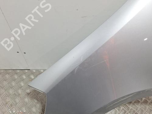 Left front fenders RENAULT CLIO III (BR0/1, CR0/1) 1.5 dCi (BR17, CR17) | BP29847922C41