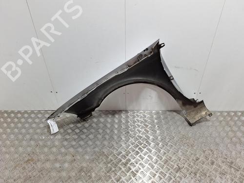 Right front fenders RENAULT LAGUNA II (BG0/1_) 2.0 16V (BG00, BG0K, BG0P, BG0W) | BP29847910C42 