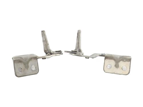 hingedoor-check-strap-renault-kangoo-express-fc01_-1997-31908496 main image