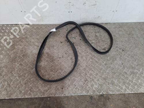 Gummiliste RENAULT TWINGO II (CN0_) 1.6 RS (CN0N, CN0R, CN0S) (133 hp) 31833199