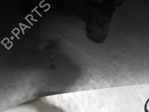 Hood RENAULT MEGANE III Hatchback (BZ0/1_, B3_) 1.5 dCi (BZ0C) | BP24257640C1 