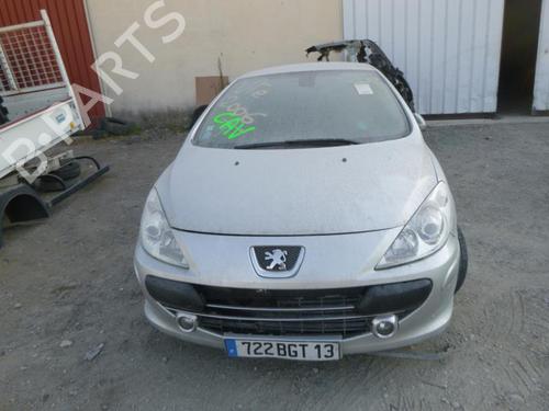 Tailgate PEUGEOT 307 CC (3B) 2.0 16V | BP24258395C6 