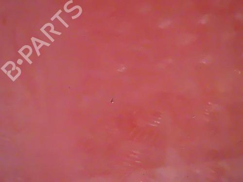 Right front door RENAULT SCÉNIC II (JM0/1_) 1.9 dCi (JM0G, JM12, JM1G, JM2C) | BP24258083C3 