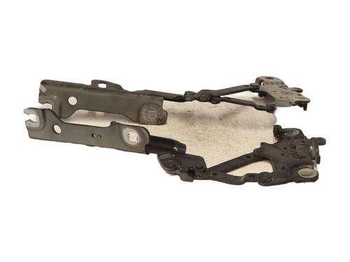 Hinge/Door check strap BMW 1 (F20) 120 d | BP26641857C146 