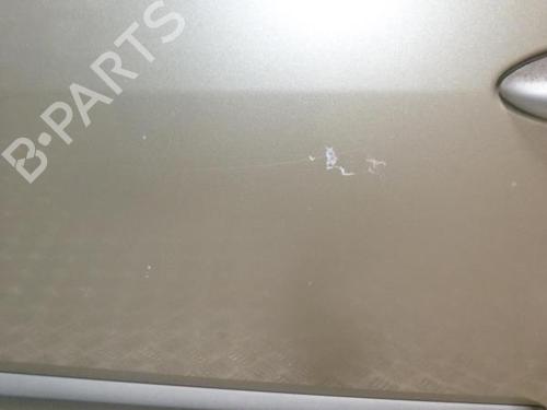 Left rear door RENAULT SCÉNIC II (JM0/1_) 1.9 dCi (JM14) | BP24255551C4 